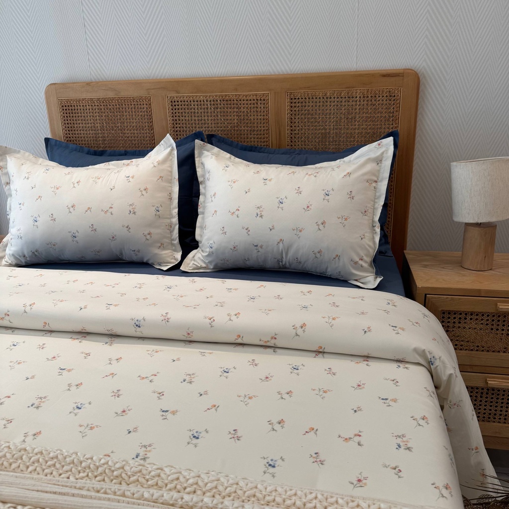 Parure de drap 6 Pieces Douceur bleu