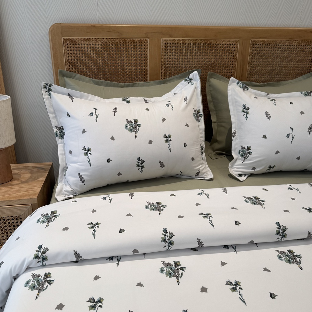Parure de drap 6 Pieces New Sauge