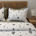 Parure de drap 6 Pieces New Sauge