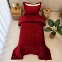 Couverture Piere Cardin 1 Place Rouge
